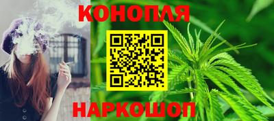 мяу мяу мука Кингисепп