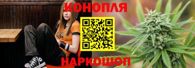 PSILOCYBIN Камышлов