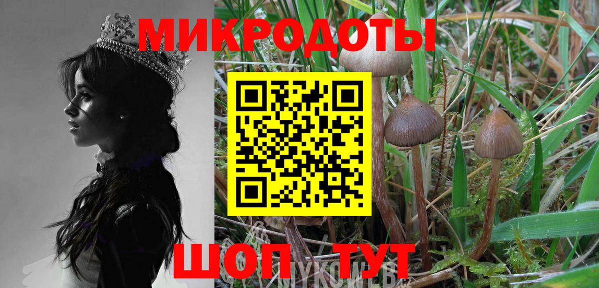 Галлюциногенные грибы GOLDEN TEACHER  Вход с VPN  Кызыл  что такое   Псилоцибиновые грибы Psilocybine cubensis 