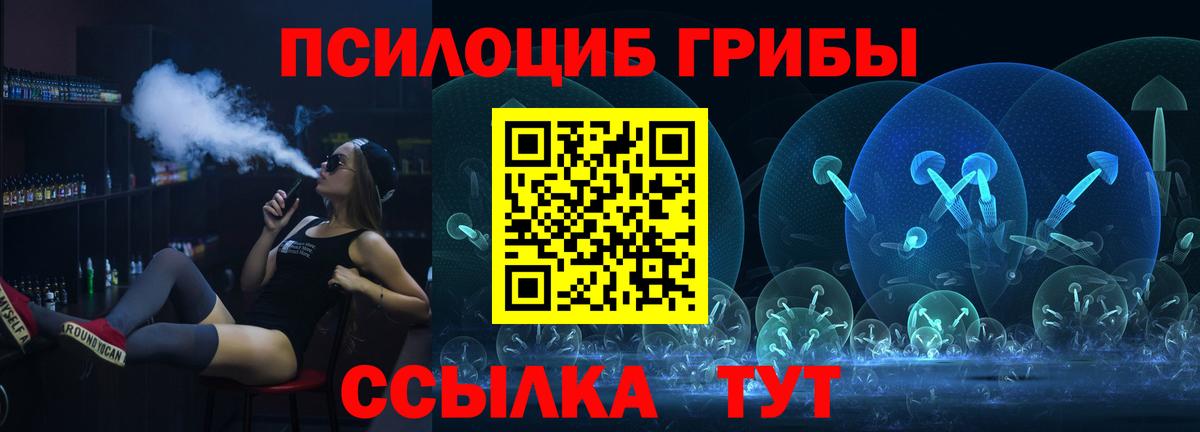 Псилоцибиновые грибы Psilocybine cubensis Кызыл